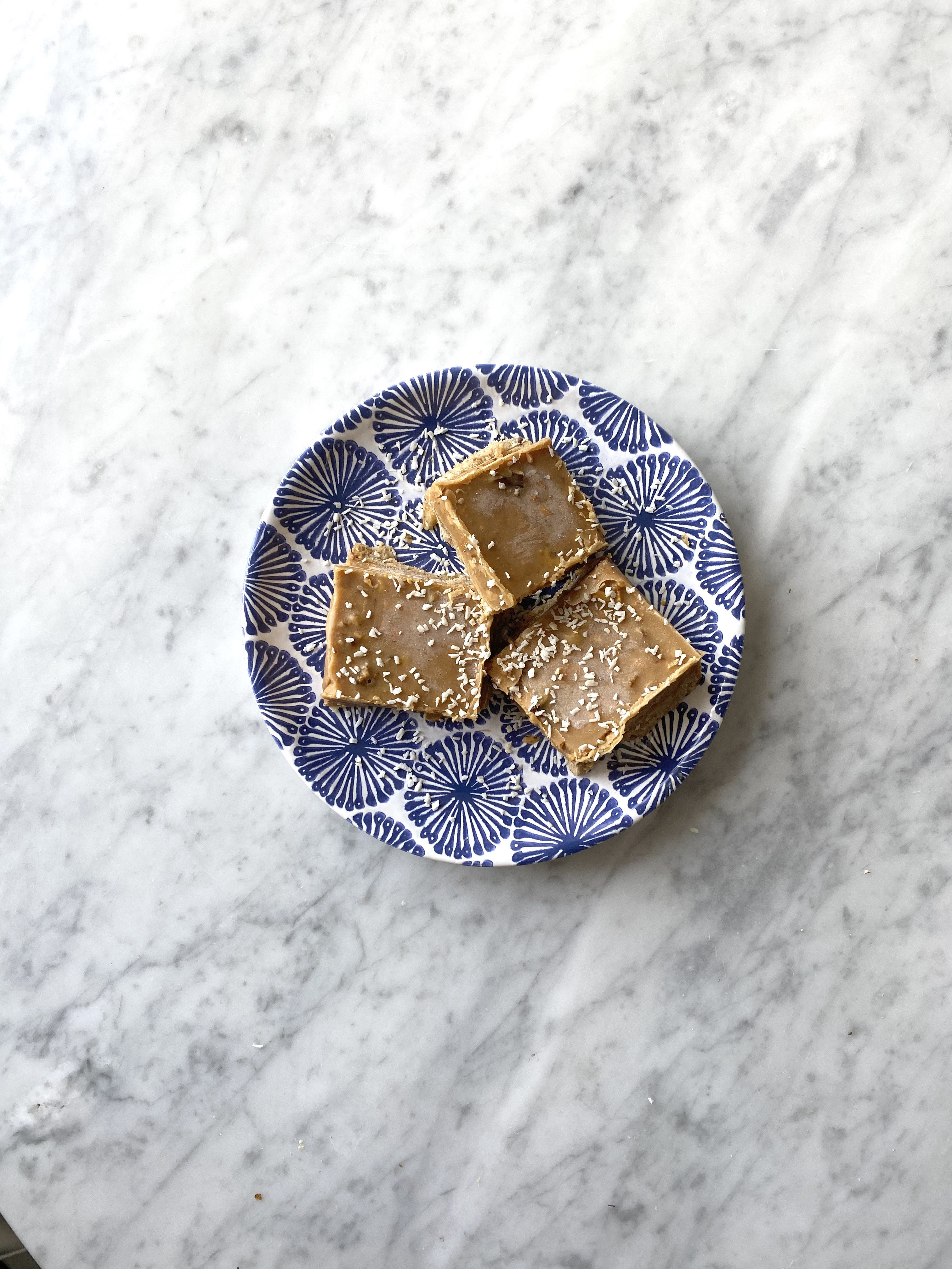 vegan + gluten free oat + nut bars